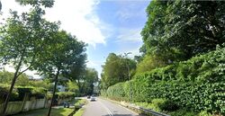Nassim Road (D10), Detached #464671941